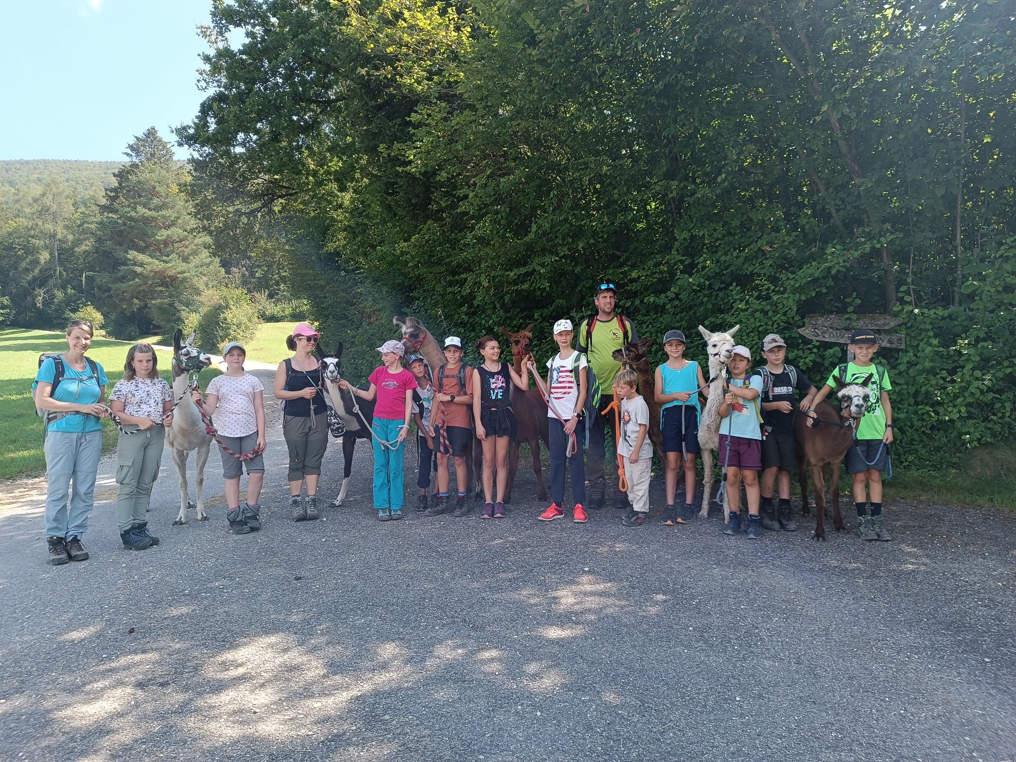 2024_Alpaka Trekking