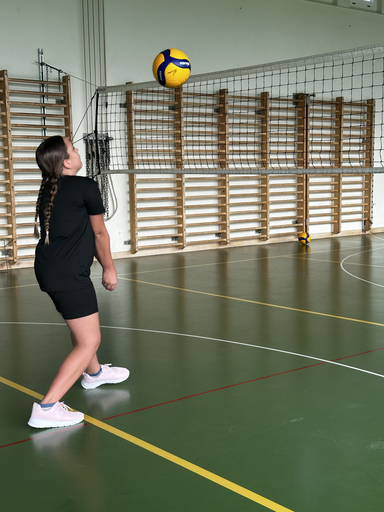 Volleyball 