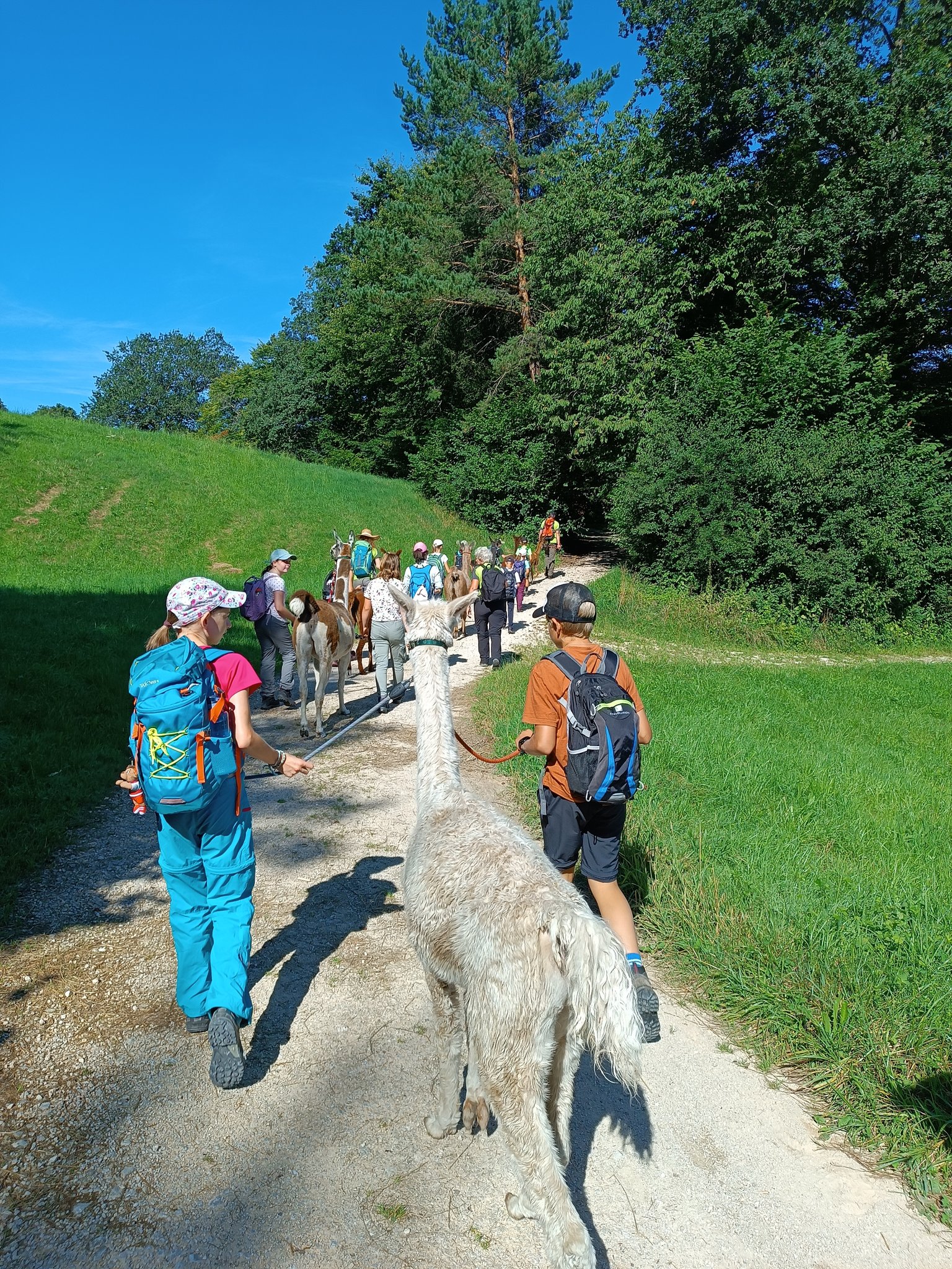 2024_Alpaka Trekking